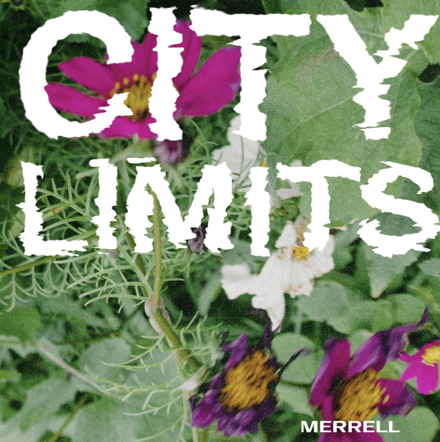 city limits font with green background