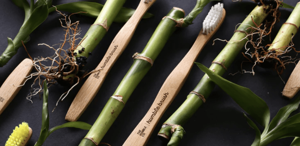 the humble co toothbrush surrounded by bamboo