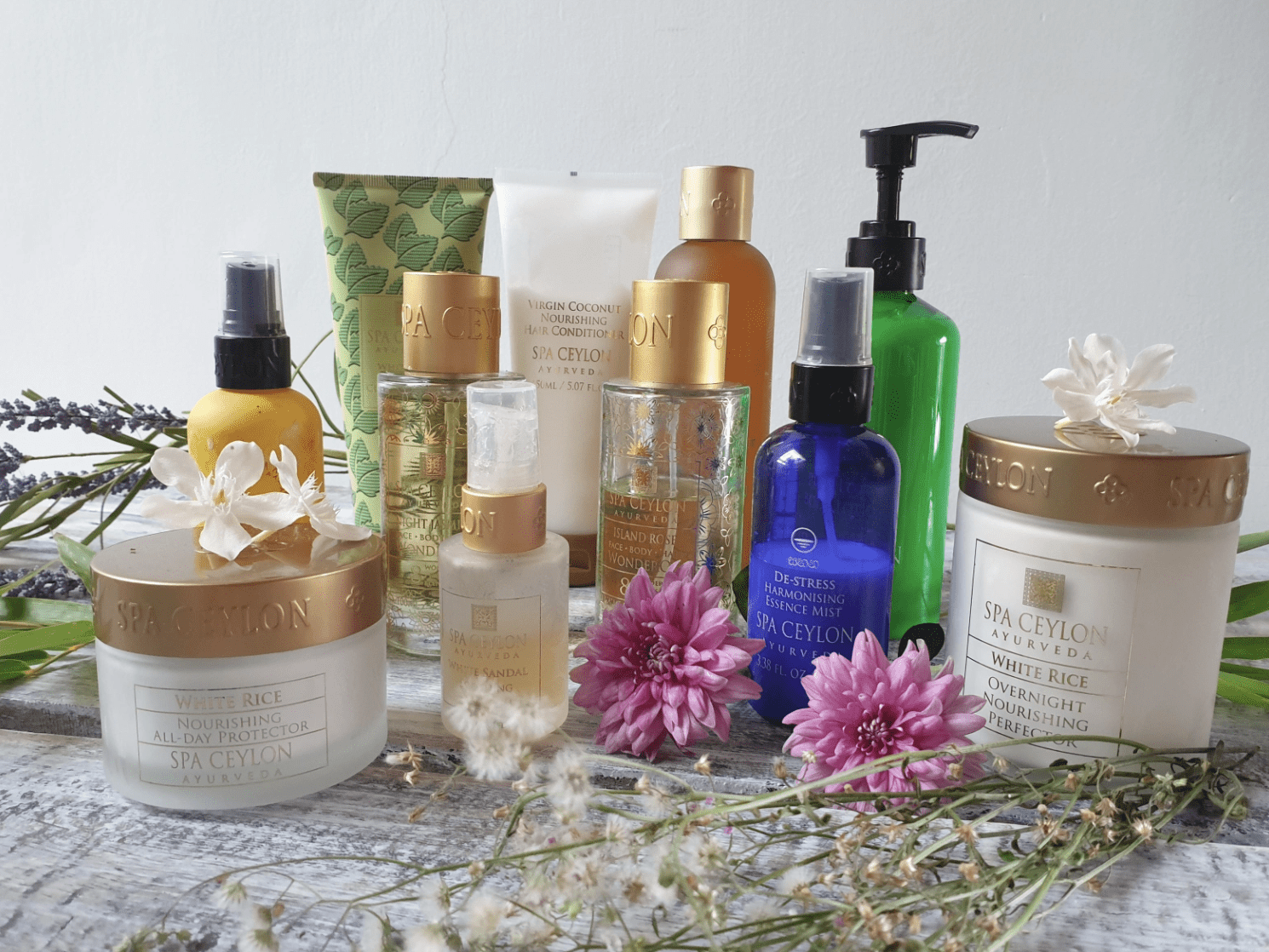 Spa Ceylon | UK Brand Launch