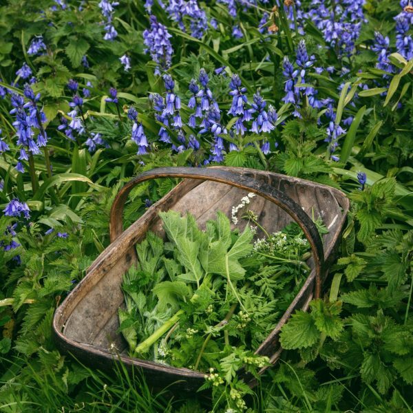 Processed with VSCO with 6 preset